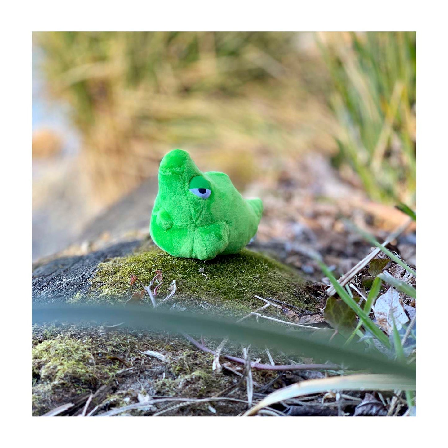 Metapod Sitting Cuties/Pokemon Fit Plush - 4 ¾ In.